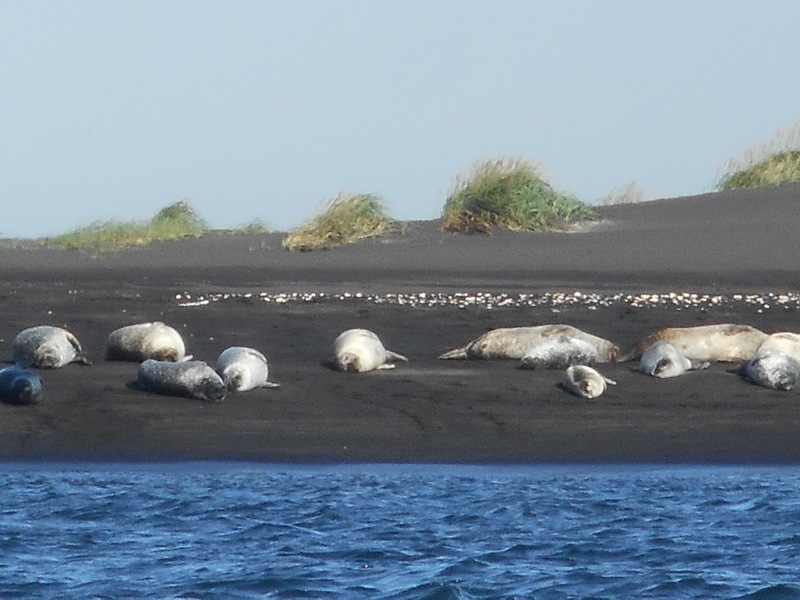 40_GabiHeinz-Islandtour-2019
